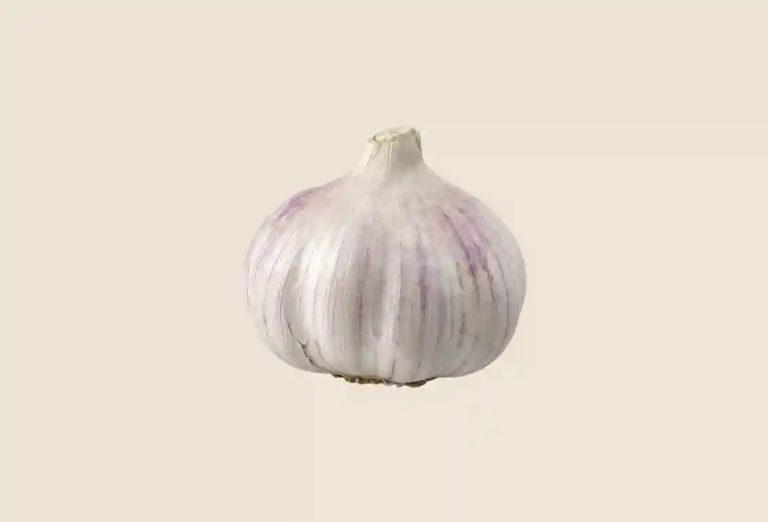 Local Garlic