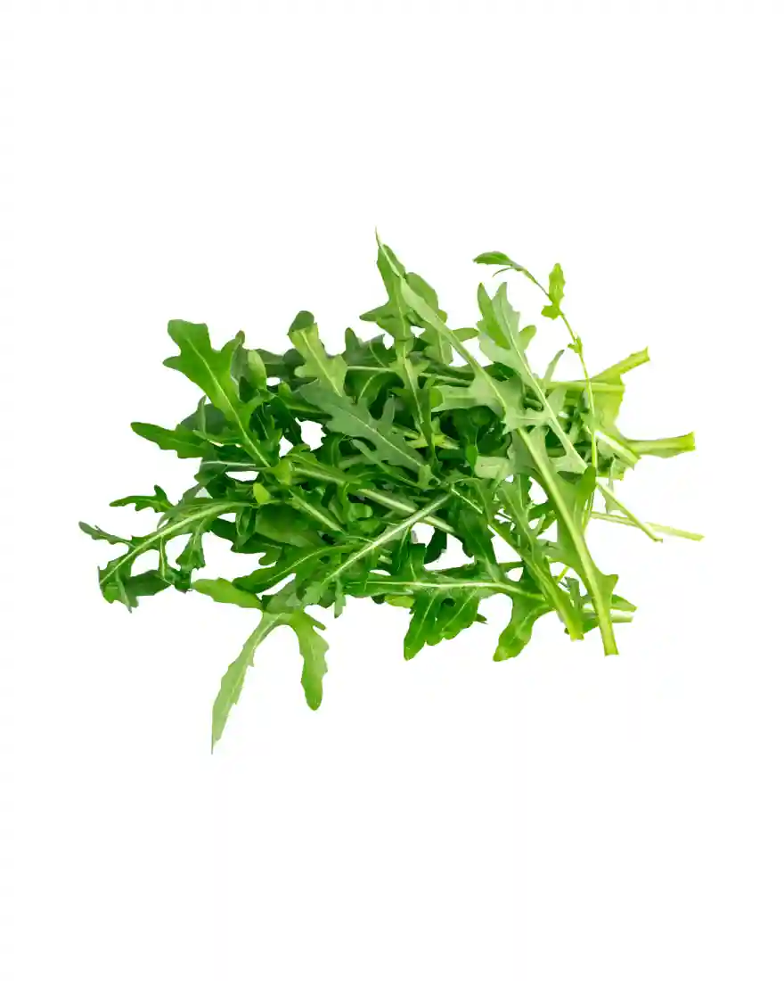 Arugula