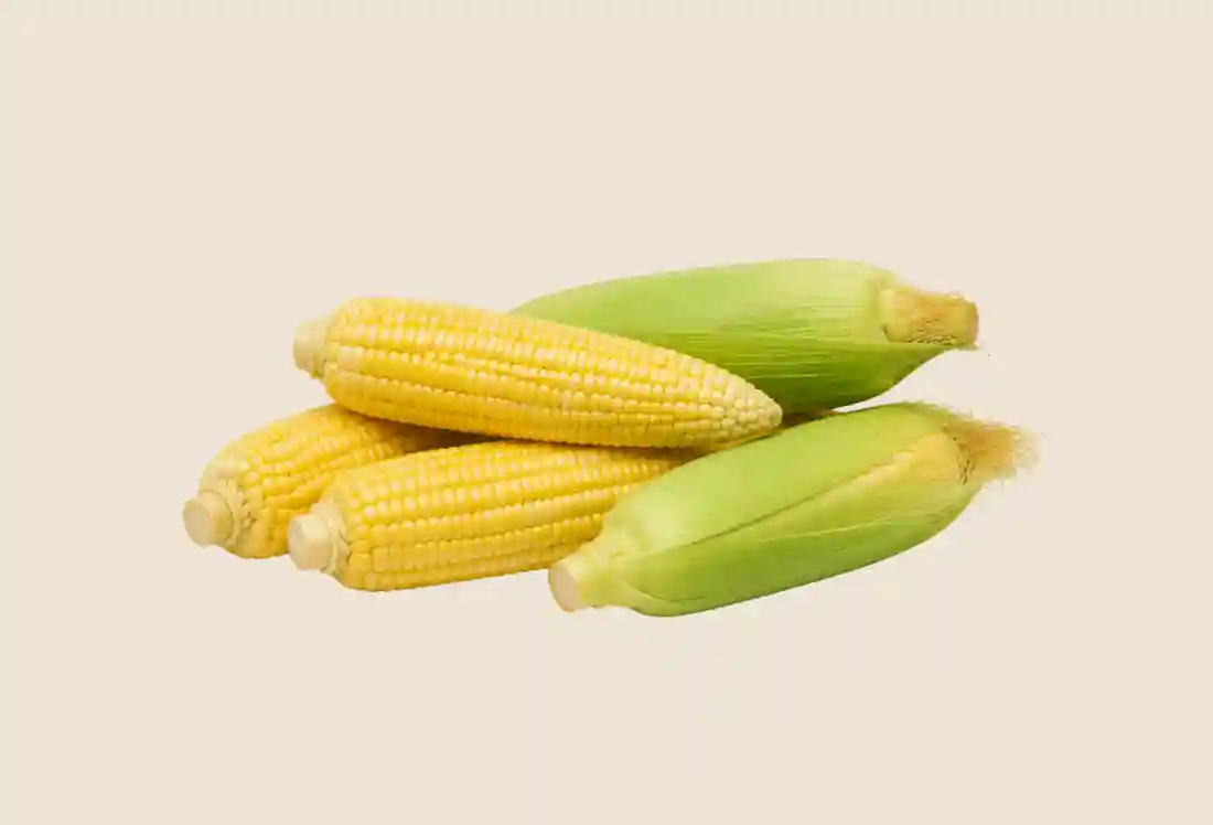 Local Sweet Corn