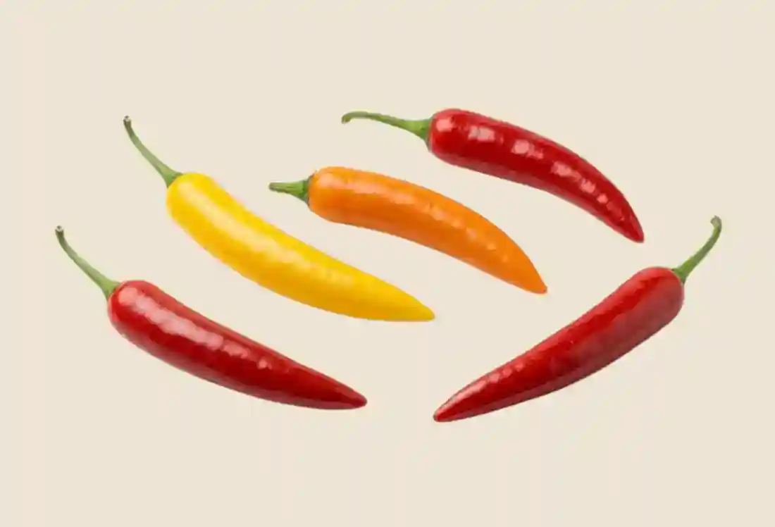 Local Organic Italian Rainbow Peppers