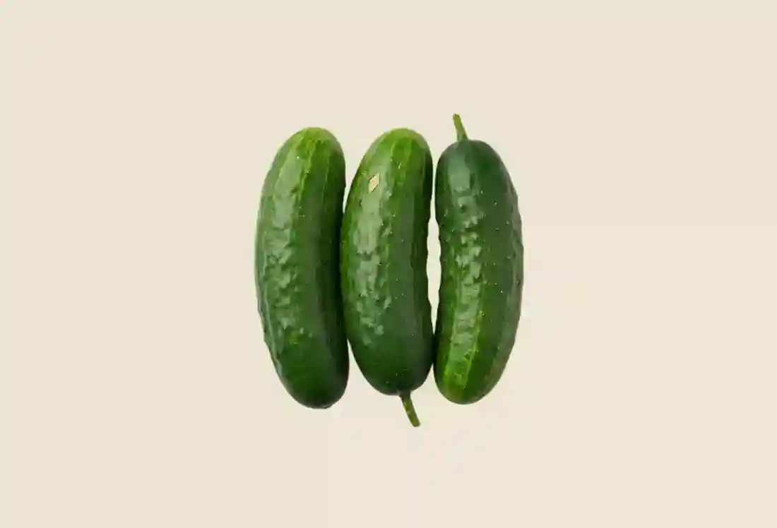 Local Organic Cucumber (American)