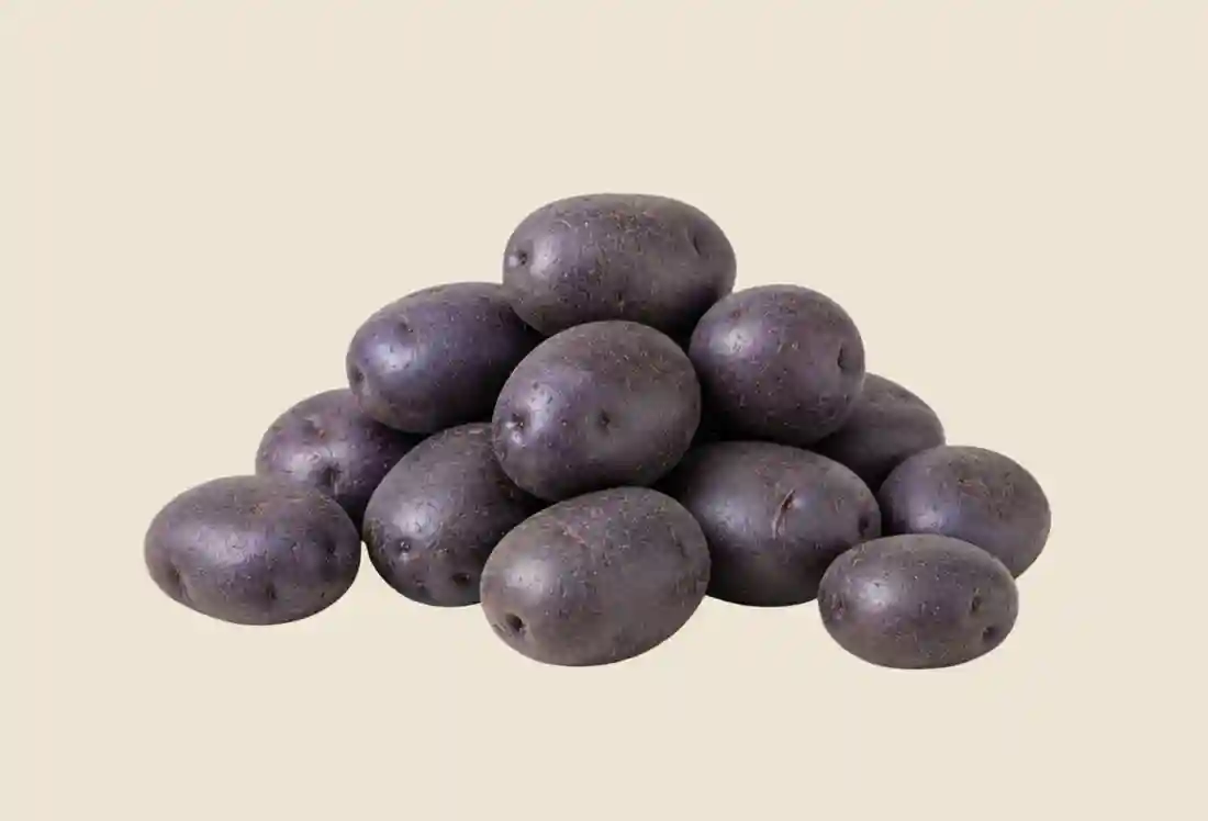 Local Adirondak Blue Potatoes