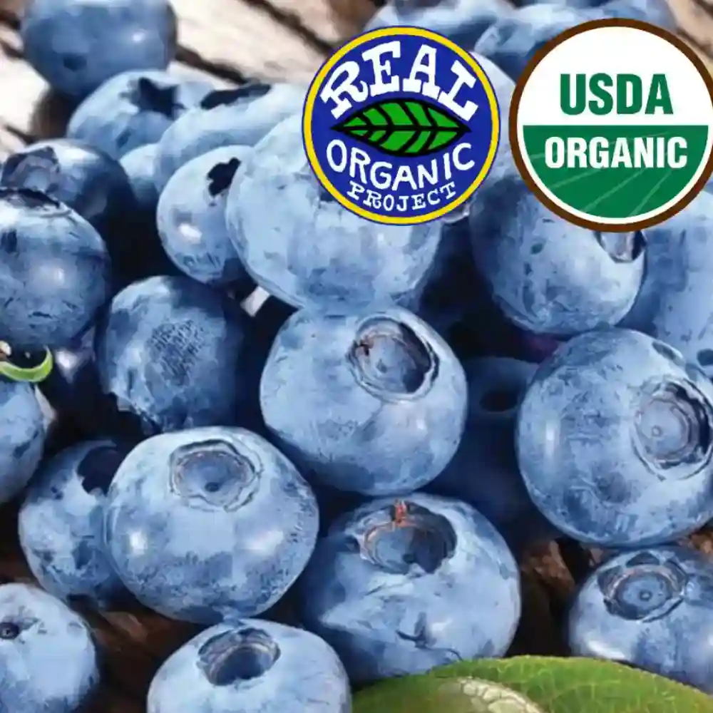 Organic Blueberry Puree 1 Quart