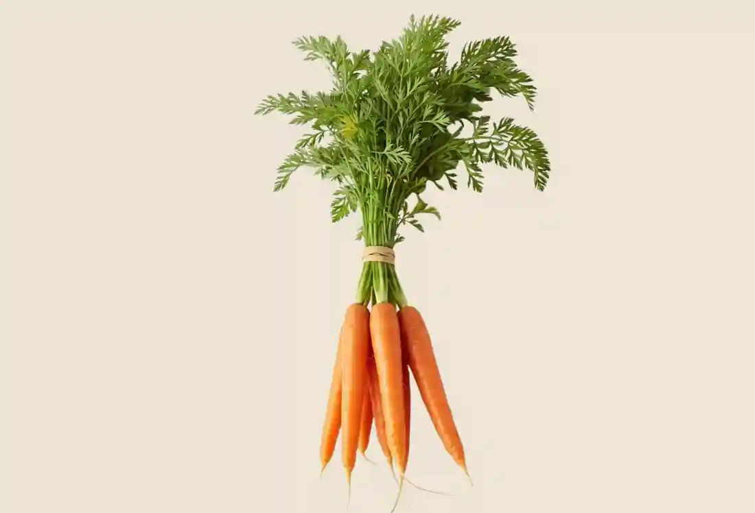 Local Organic Carrots