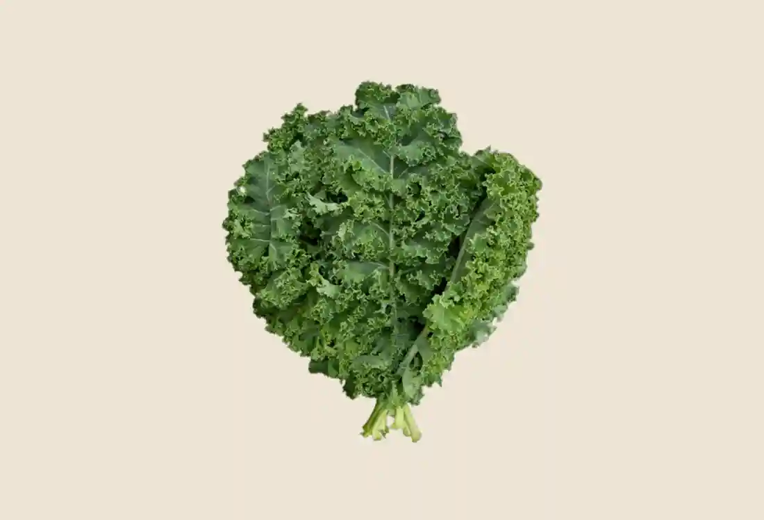 Local Kale, Green Curly