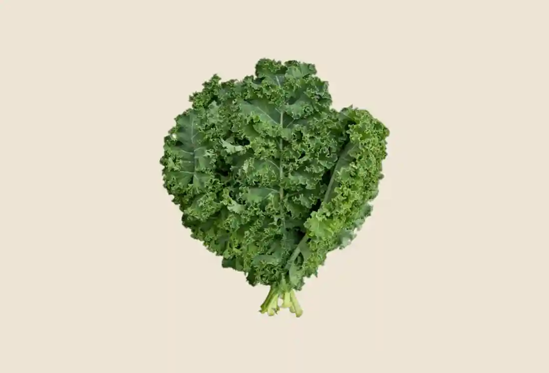 Local Organic Kale (Green)