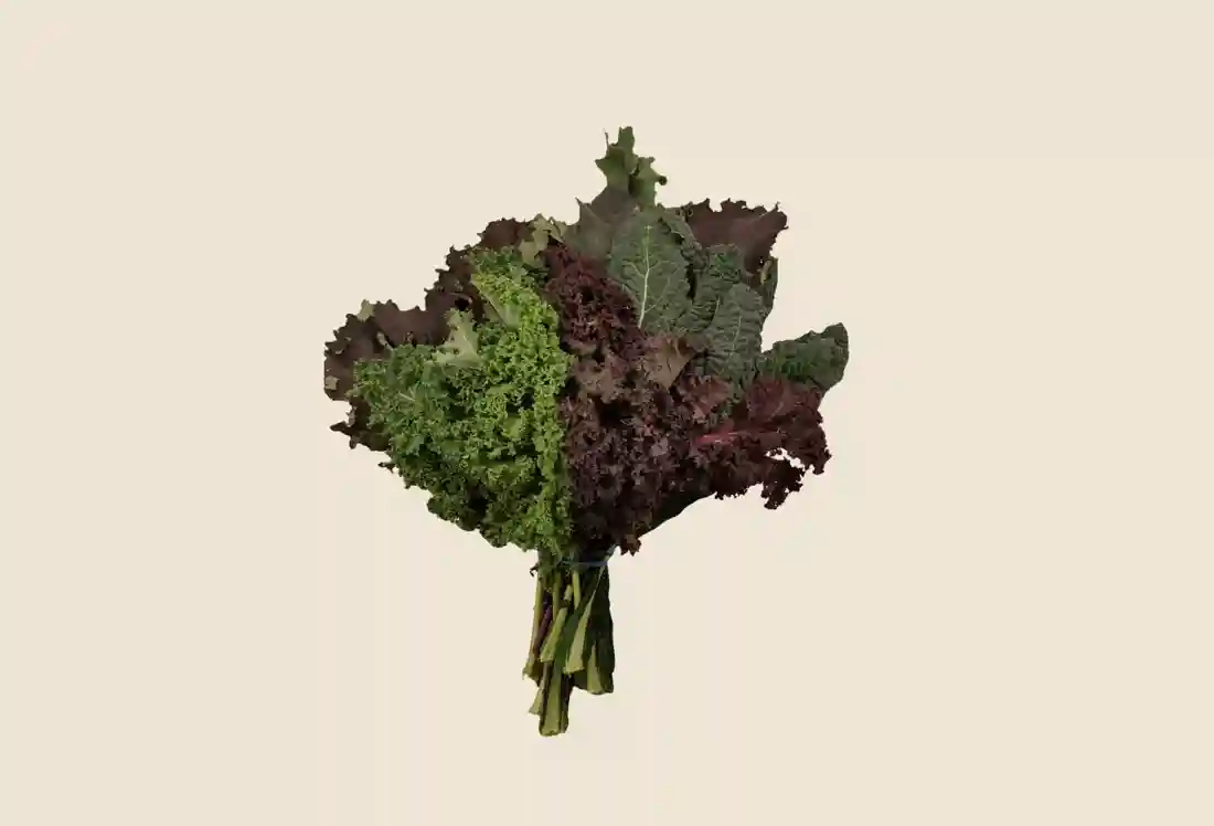 Local Kale, Mixed bunch
