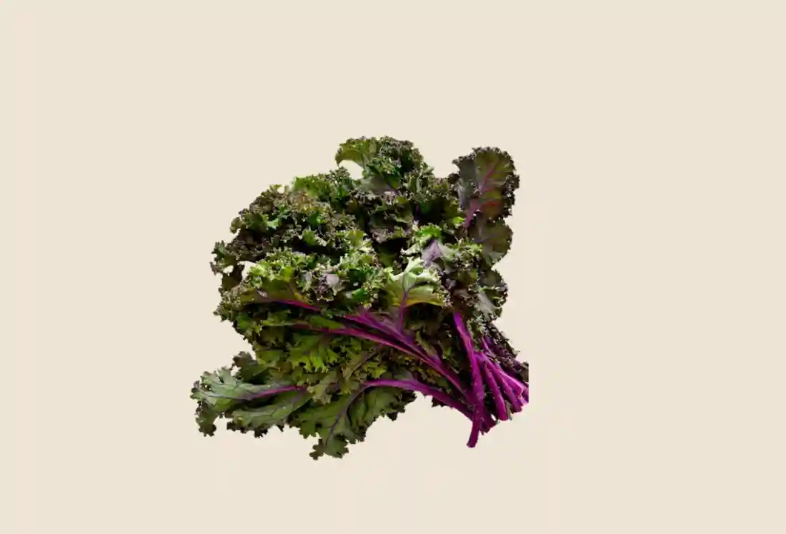 Local Kale, Red Curly