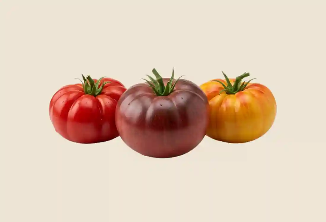 Local Organic Heirloom Tomatoes