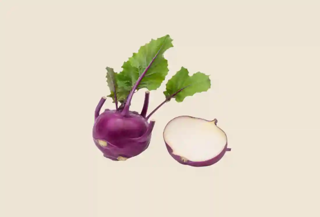 Local Kohlrabi, Purple