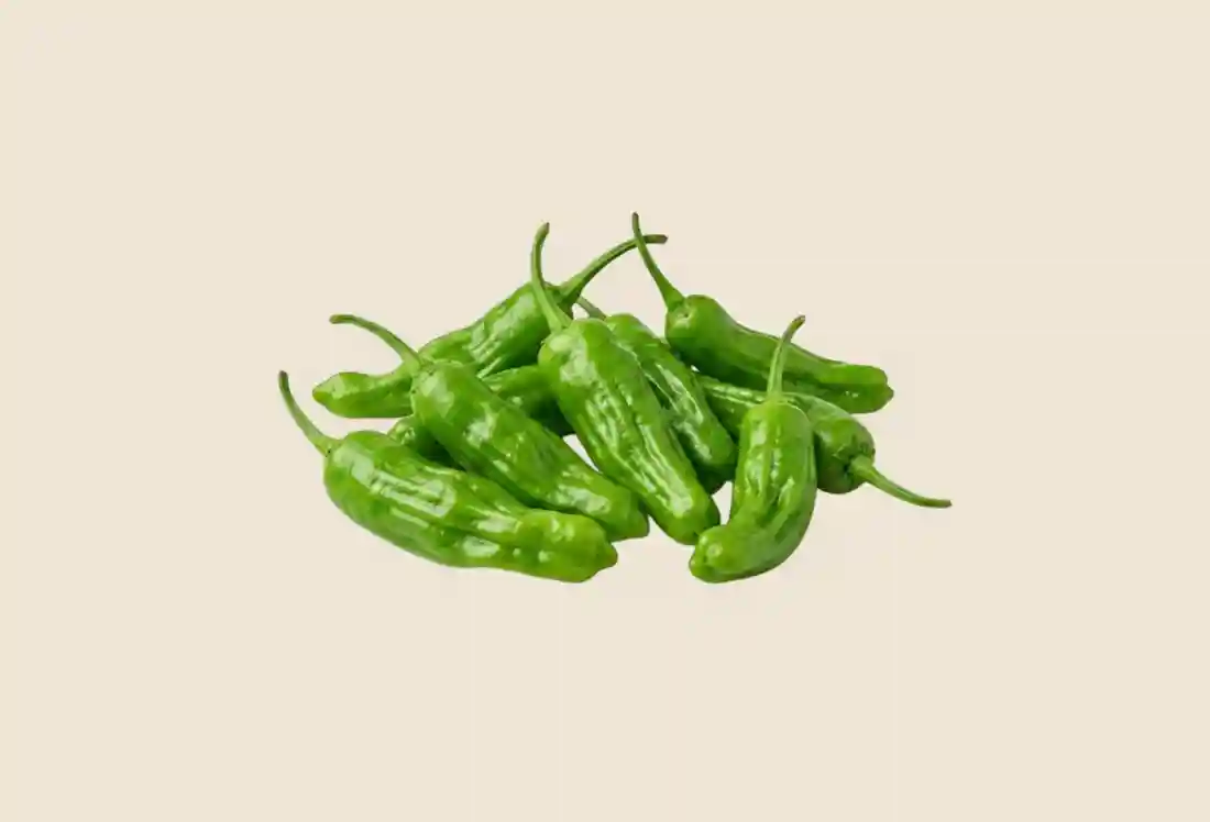 Local Shishito Peppers