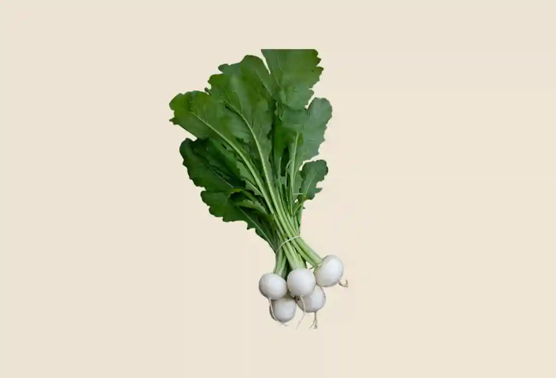 Local Organic Salad Turnips