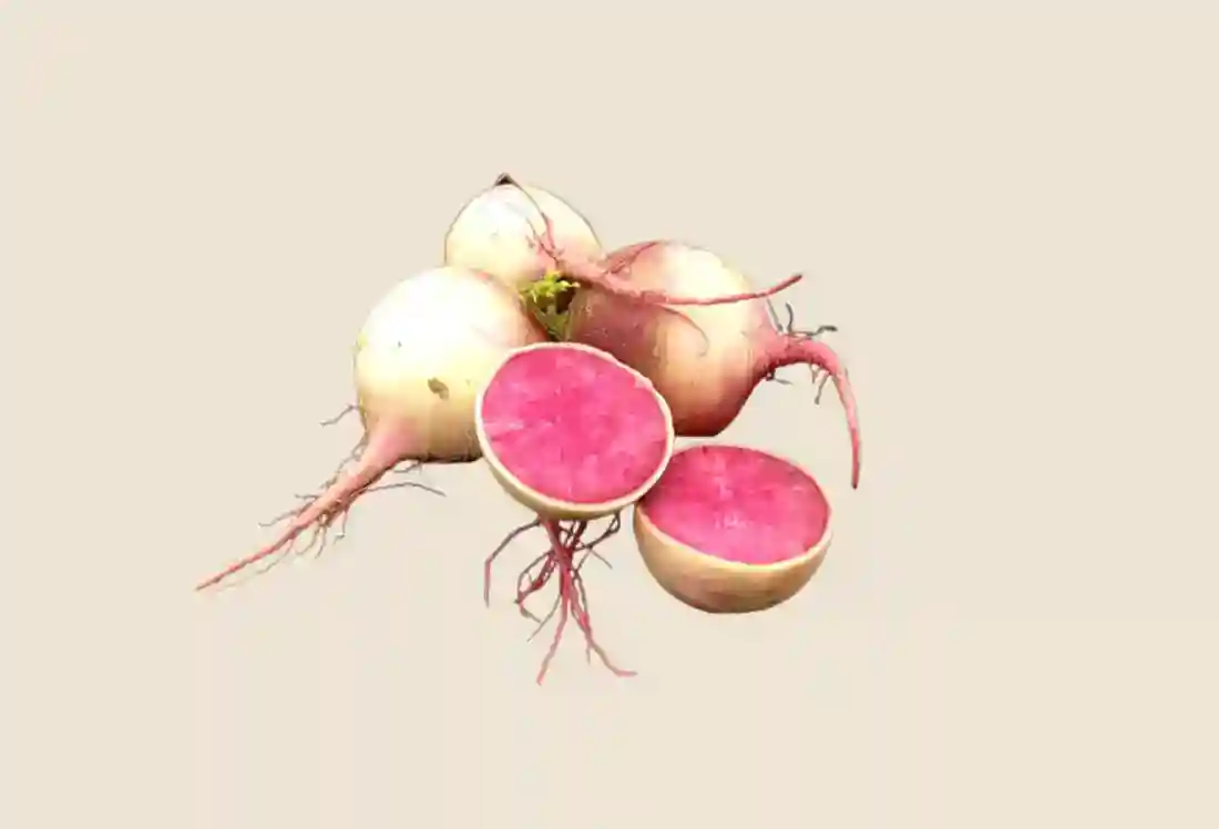 Local Watermelon Radishes