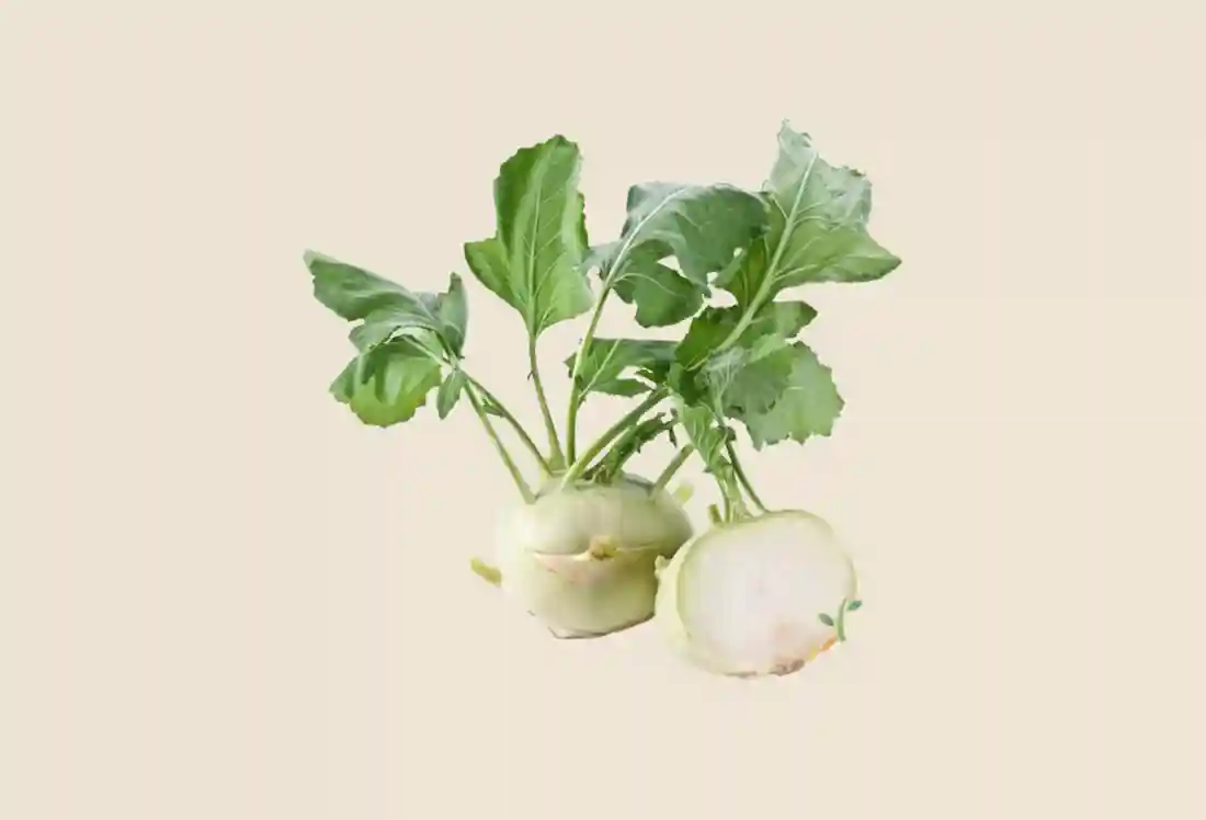 Local Kohlrabi, White