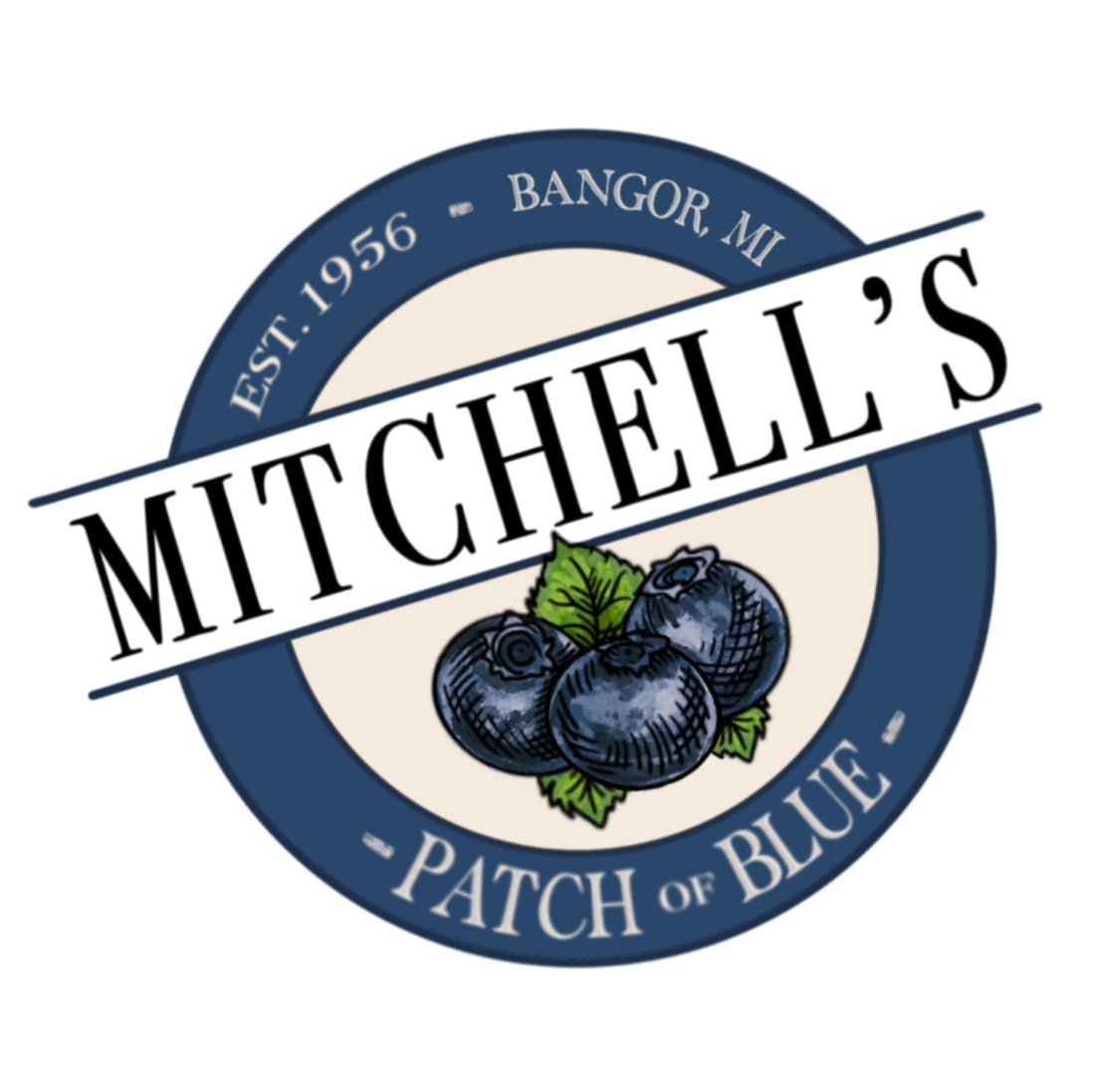 Mitchell's Patch of Blue